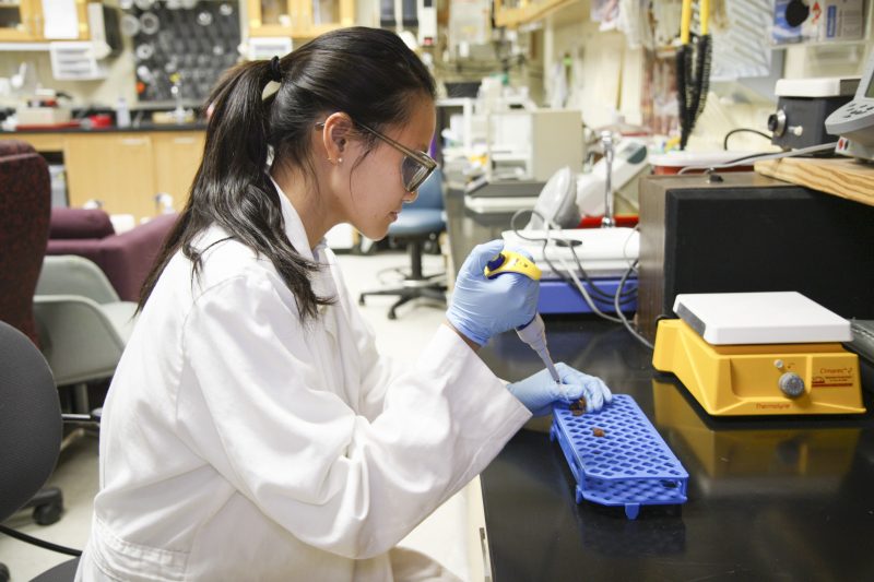 Student Tina Dam carries out experiment with pipette