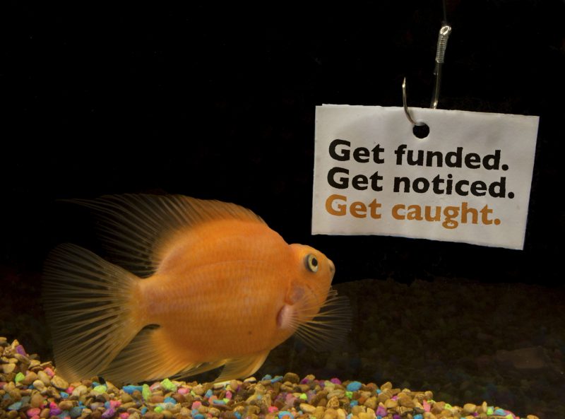 Goldfish looking at a sign that reads "Get funded. Get noticed. Get caught"