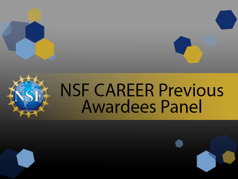 NSF CAREER Previous Awardees Panel
